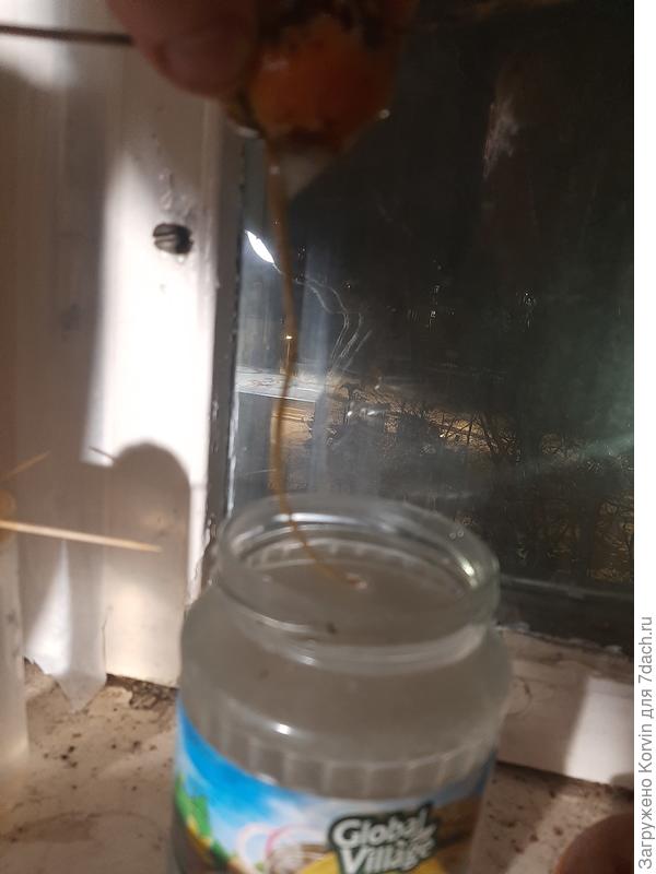 Корень из второй косточки