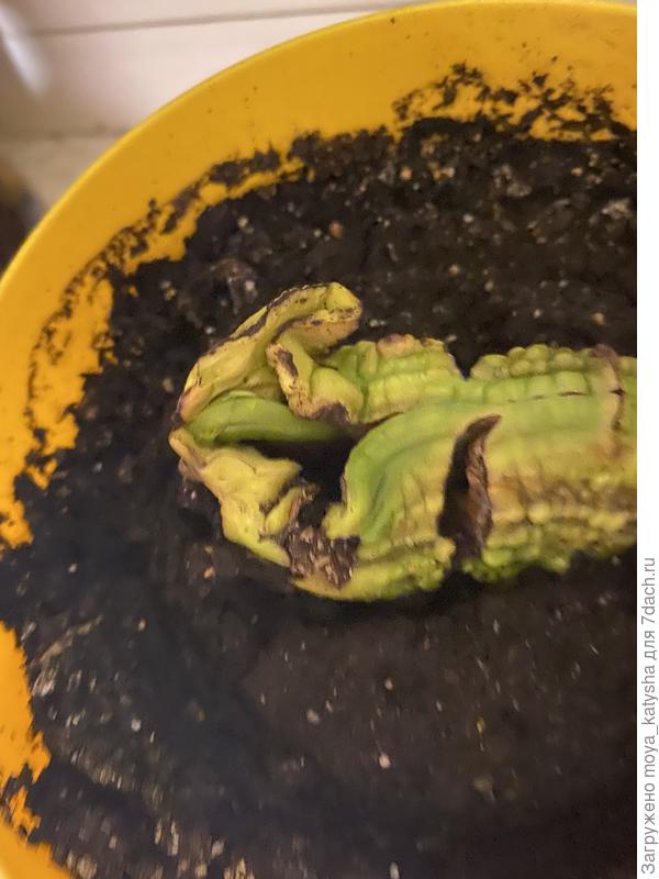 Вот тут видно, как это выглядит