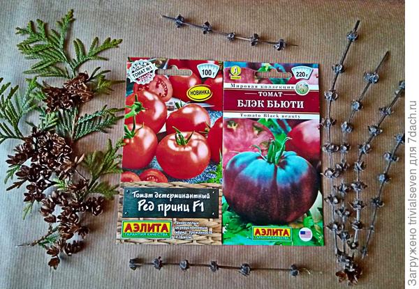 Томаты