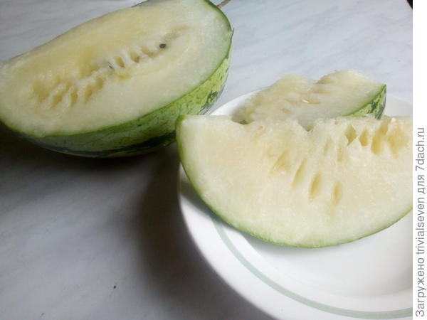 К сожалению нет лучших фото Емели - мы их так быстро съедали.