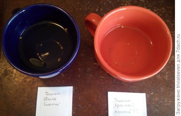 Тест с водой сухих семян - чего делать не стоит!