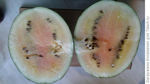 Пересорт все-таки, но сладкий