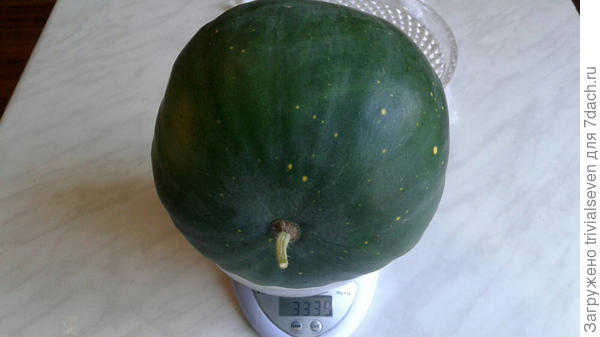 Луна и звезды