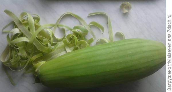 Фото Кабачок «Ураган» F1 – плод зеленый, выравненный, тонкая кожица