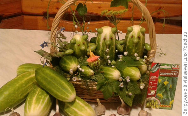 «Суперхруст» F1 – композиция «Маша и медведи»