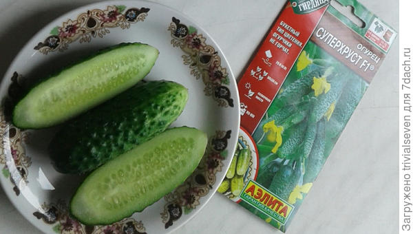 «Суперхруст» F1 в разрезе