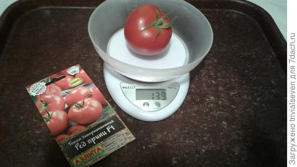 «Ред принц» F1 на весах