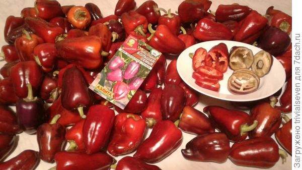 Сладкий перец «Большая семья»