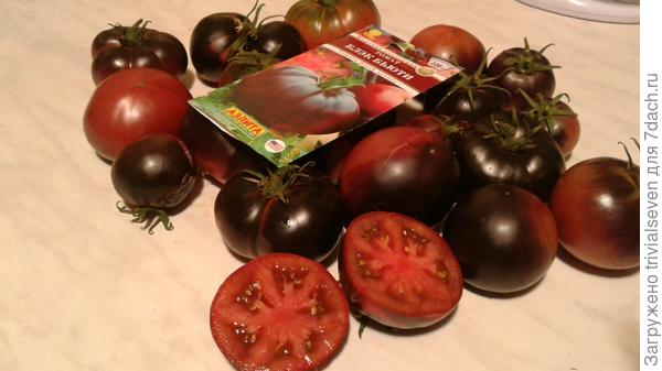 «Блэк бьюти» в разрезе