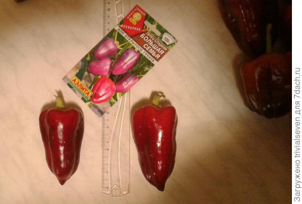 Сладкий перец «Большая семья»