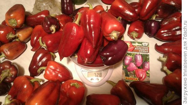 На весах 10 плодов