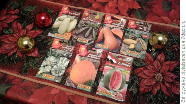 Другие бахчевые