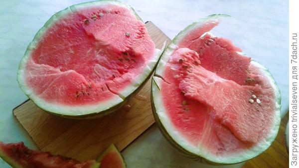 Мой самый крупный арбуз в прошлом сезоне - Клондайк, 9 кг - был очень сладким