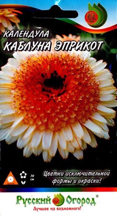 Я вообще-то удивилась, что это календула, купила...