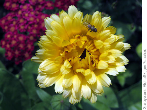 все были немного разными, цвет мне в общем-то понравился