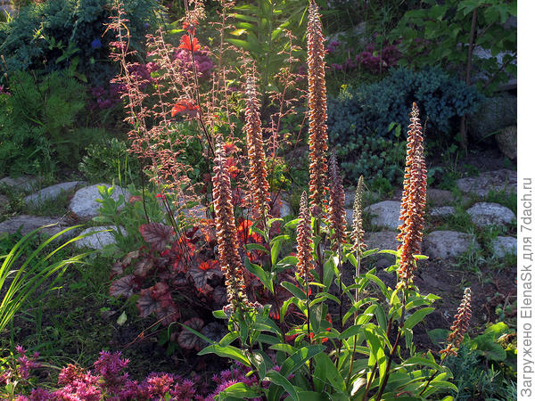 Подошла рассматривать