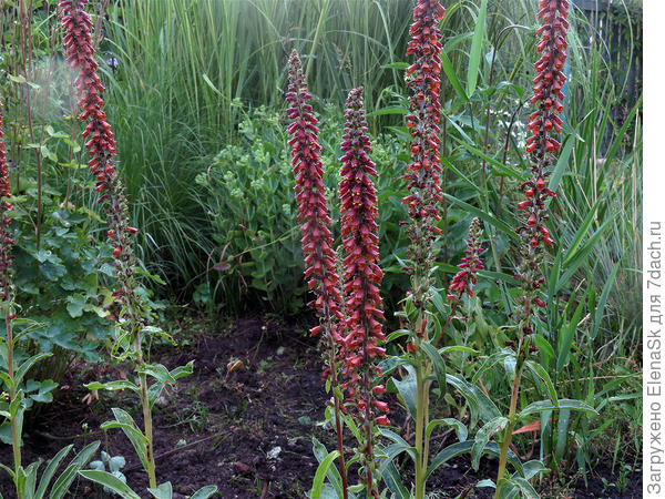 Даже не знаю, где...