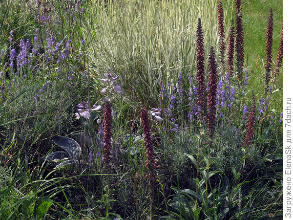 Там же, при другом освещении