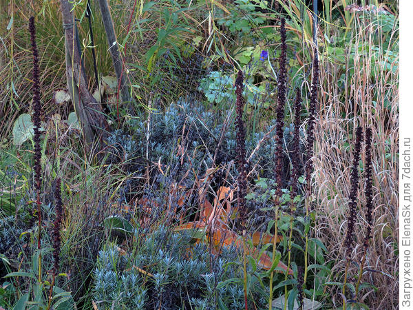 Она же и тогда же, но уже со стороны газона