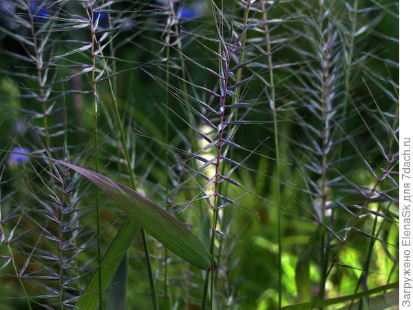 24.07.2020 шероховатка