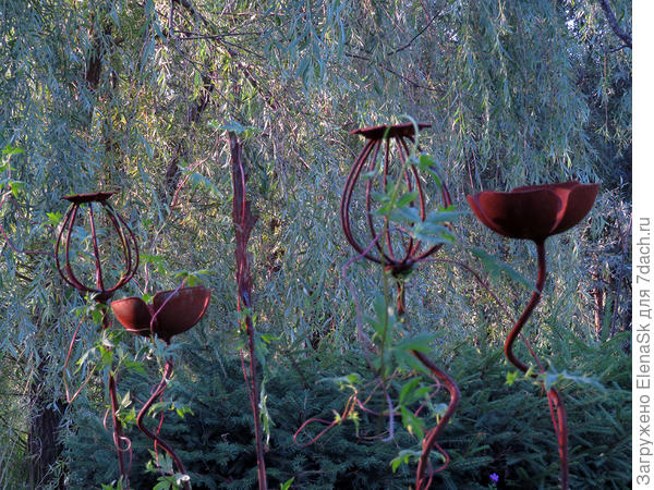 В саду Татьяны Терентьевны Желтовской