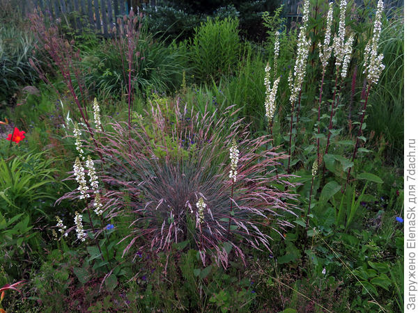 Это было первое место, куда я его посадила