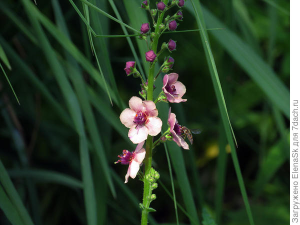 Жалко, что ушел...