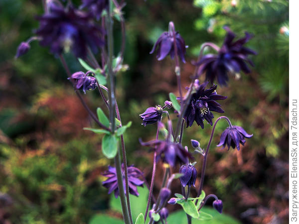 Еще более темная