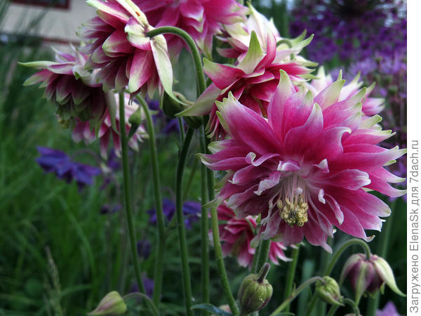 еще одно фото