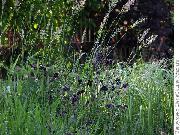 В травке они очень даже видны