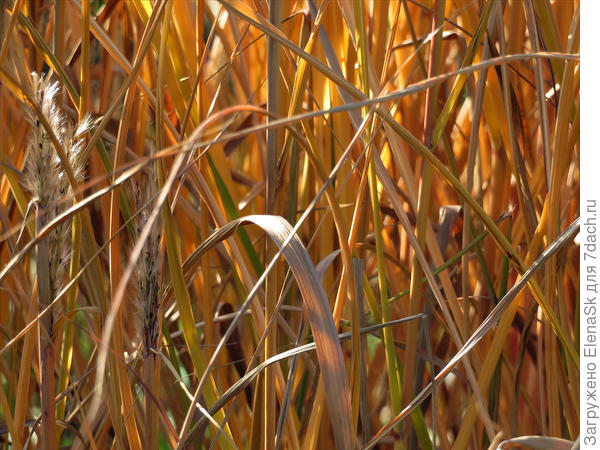 Примерно так