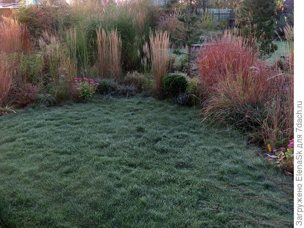 Общий вид маленького газона