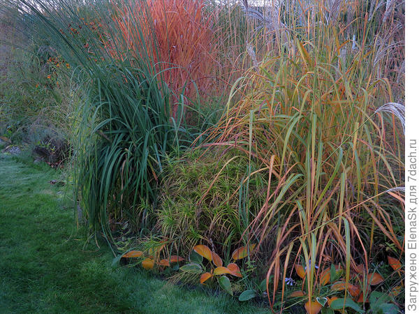 Здесь эта группа без ивы