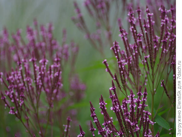 Не знаю где, ориентиров на фото нет, но точно у меня...
