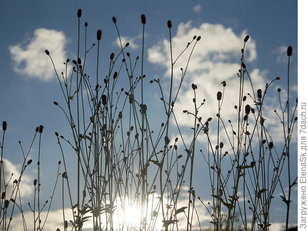 На фоне неба