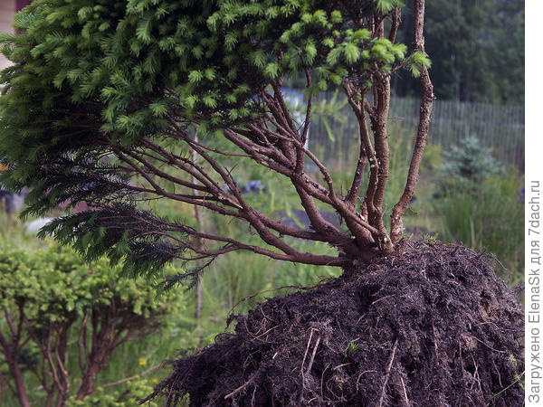 Получалось вот так