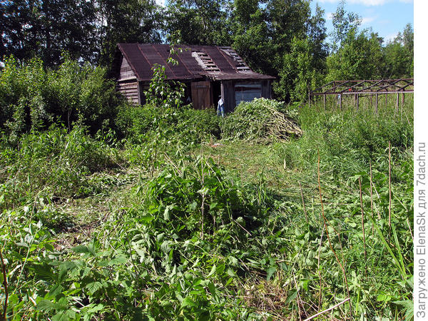 Сняла в сторону домика - что сделала в этот день.