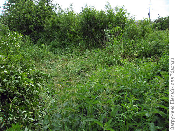 Это уже очищенное пространство