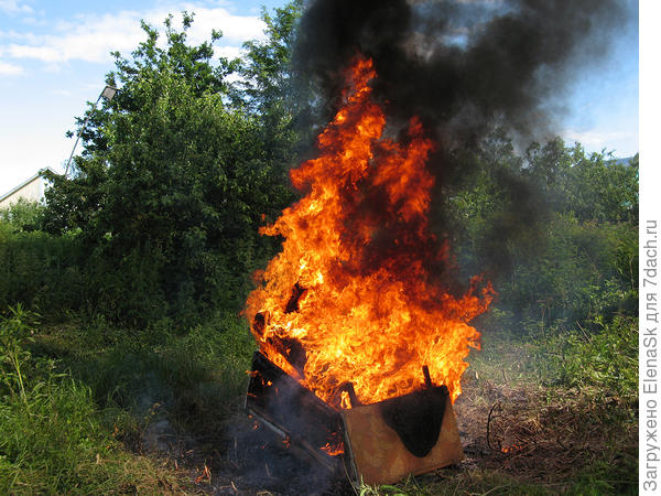 Не до того было, загорелась трава, я бегала и кидала на расползающийся огонь куски железа, мокрый оргалит...