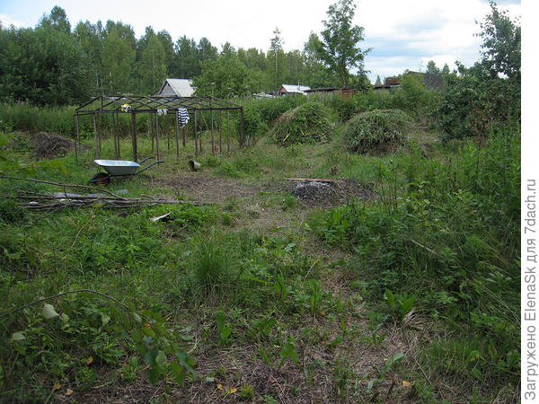 Дело пошло, начала очередной стог делать...