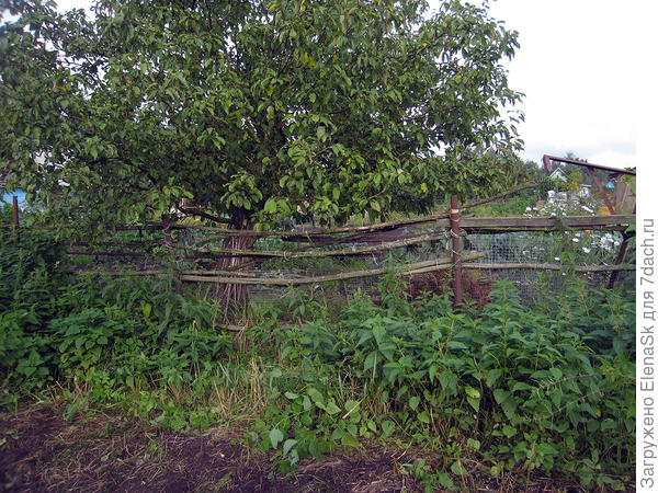 Еще одни соседи...