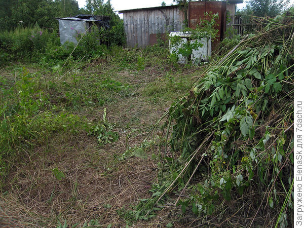 Еще, с другого ракурса.