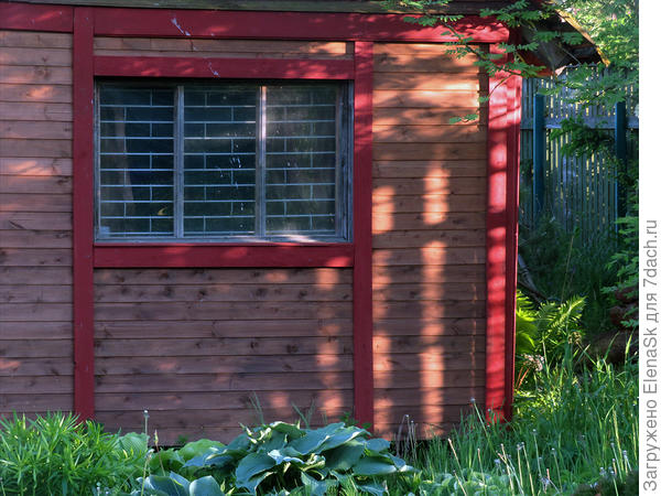 Вот он, мой хороший. Это северный фасад, у нас Белые ночи, и с утра и вечером он полностью освещен.