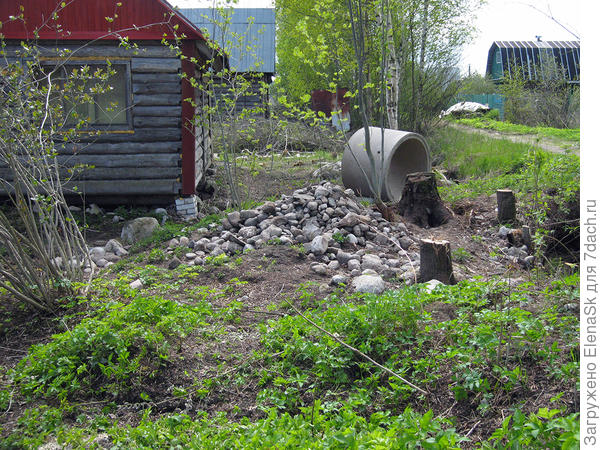 Надо было убрать место для забора, Ян пытался выкопать пень - накопал кучу камней... Пень не удалось вытащить и машиной. Как забор будут ставить?