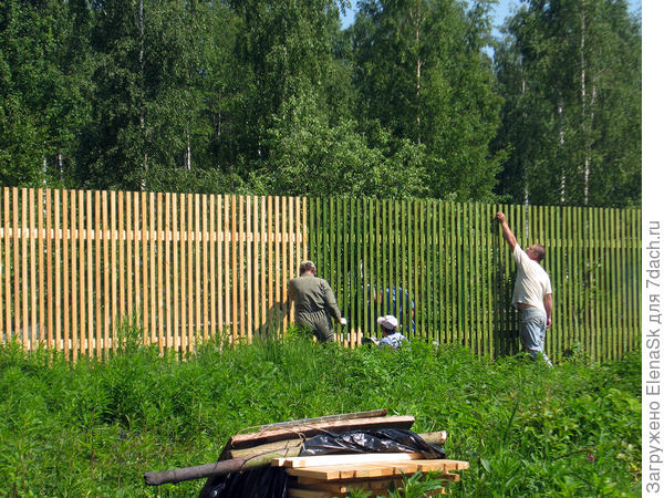 Забор просто исчезал на глазах когда красили...