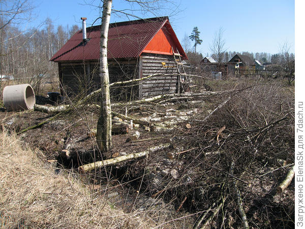 По осени это было самое чистое место на участке, и вот...