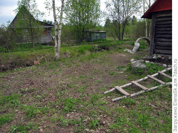 И здесь стало голо...