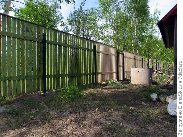 Красила так же как бороласт с буреломом, соревнуясь с установленной камерой