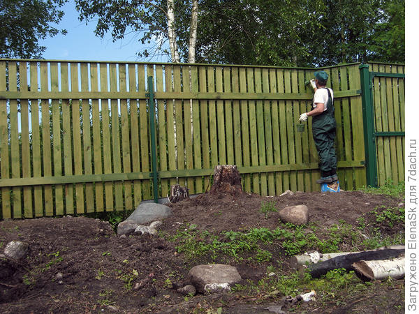 Заодно очищала землю вдоль заборов и что-то туда сажала...