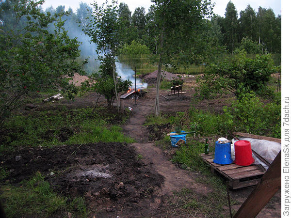 Уже было ясно, где будет дорожка - как и предполагала, между двух осин... Кто бы еще знал, как их делать?...